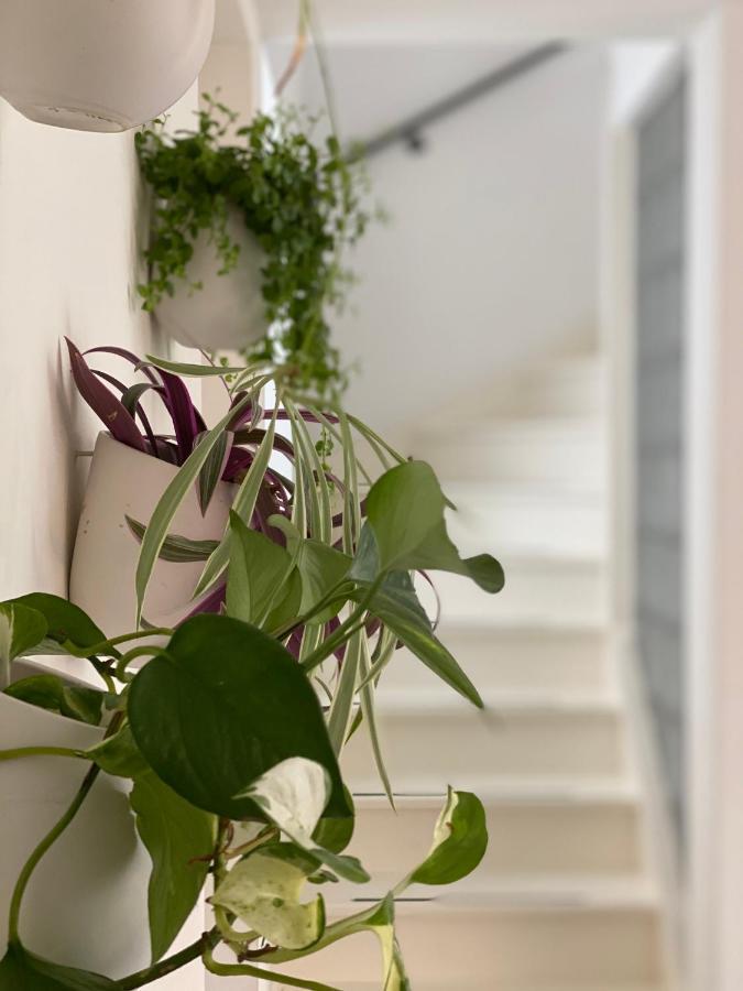 Romantic Wellness Bnb Noordwijk Exterior photo